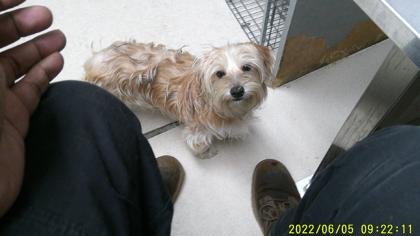 Widdle Pup - Photo 3