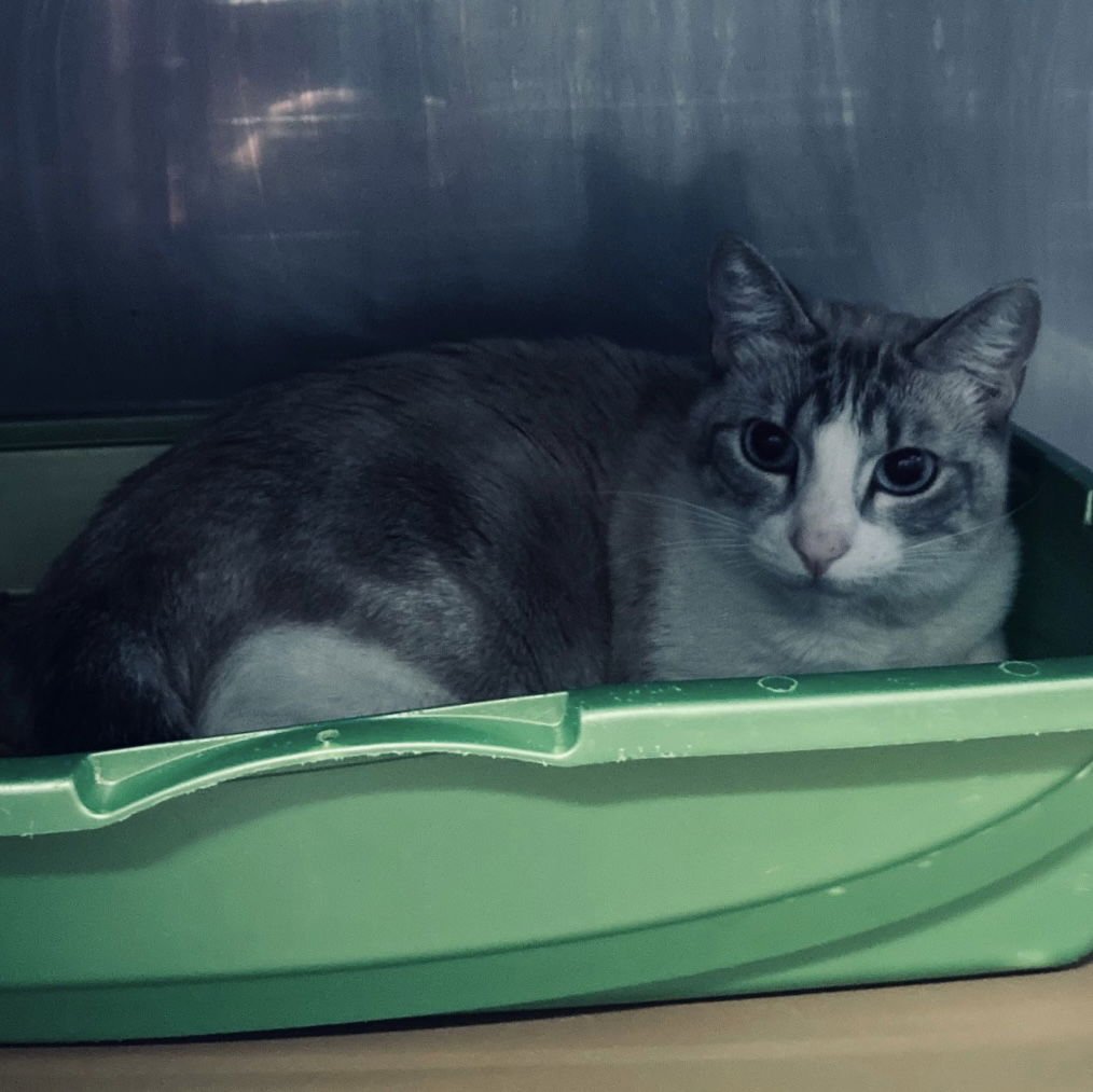 Lizzie Bennett - Photo 5