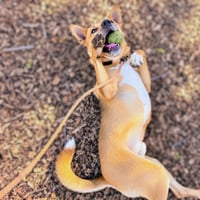 Kaden - Photo 6