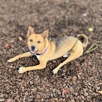 Kaden - Photo 5
