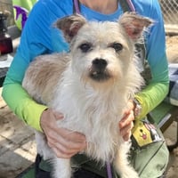 Chip - Photo 2