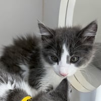 Jean Paul Pawter - Photo 1