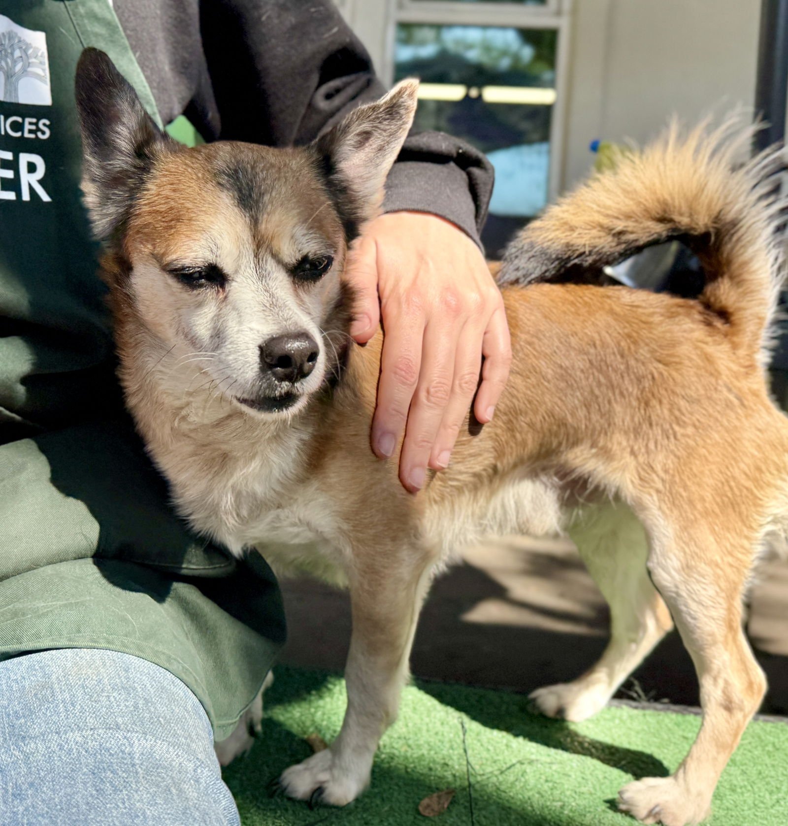 Rocky Balboa - Photo 4