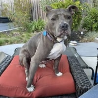 Millie - Photo 3
