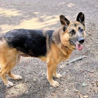 Gwen - Photo 3
