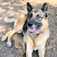 Gwen - Photo 5