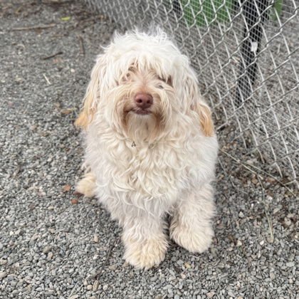 Huntington - Photo 3