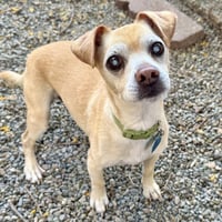 Max - Photo 5