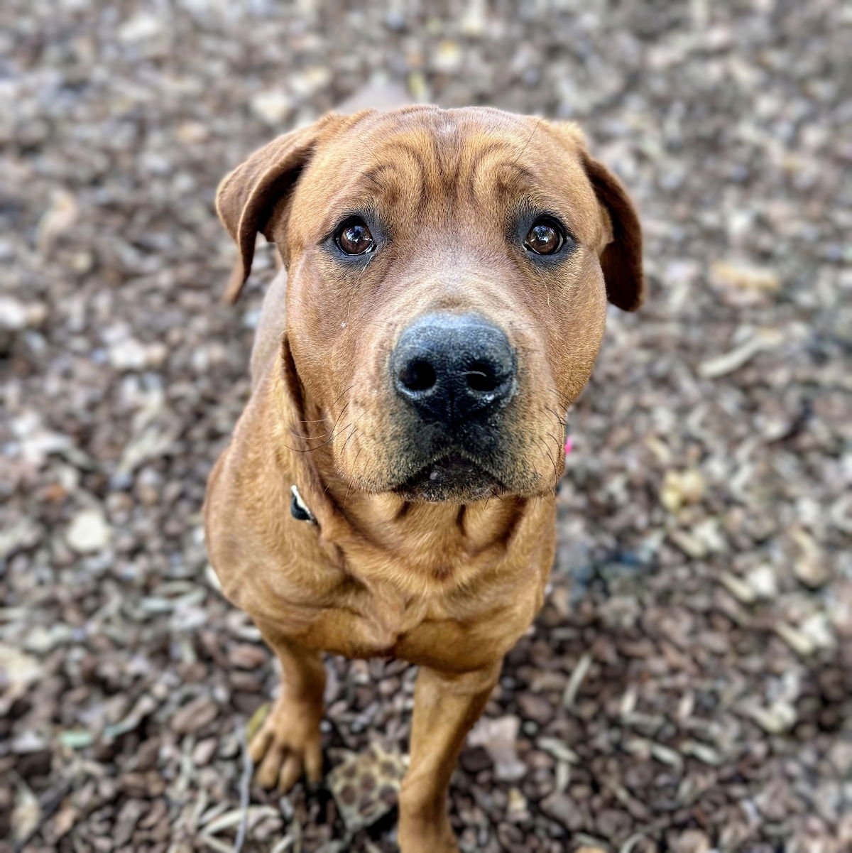 Serendipity - Photo 3