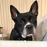 Laverne - Photo 8