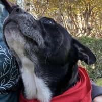 Laverne - Photo 4