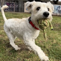 Junior Walker - Photo 3