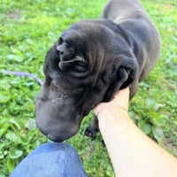Tootsie - Photo 4