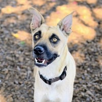 Fiona - Photo 6
