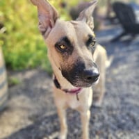 Fiona - Photo 3