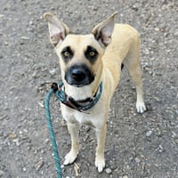 Fiona - Photo 8