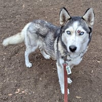 Nita - Photo 8