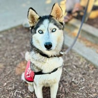 Nita - Photo 4