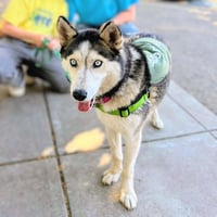 Nita - Photo 2