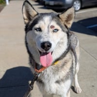 Nita - Photo 7