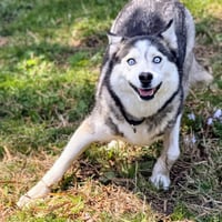 Nita - Photo 5