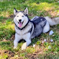 Nita - Photo 3