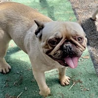 Aubrey - Photo 1