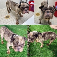 Nathan Drake - Photo 2