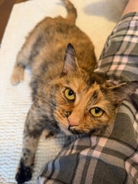 Mimi - Photo 4
