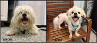Tucker - Photo 2