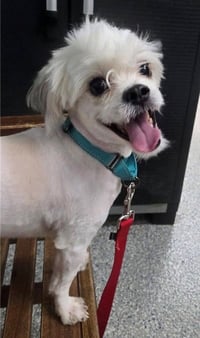Tucker - Photo 3