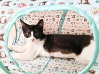 Olive & Dottie - Photo 13