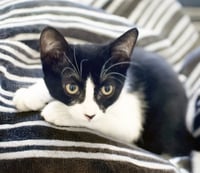 Olive & Dottie - Photo 10