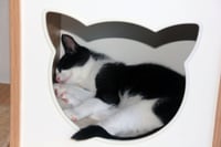 Pip II - Photo 4
