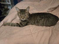 Momma Deena - Photo 2