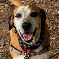 Walter - Photo 1