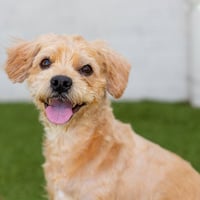 Casey - Photo 1