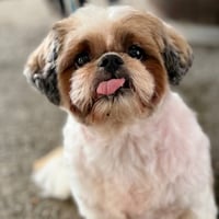 Minnie - Photo 1
