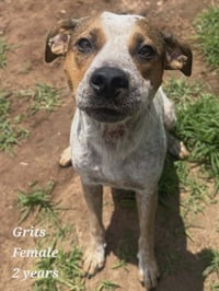 Grits - Photo 2