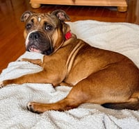 Winnie - Photo 3
