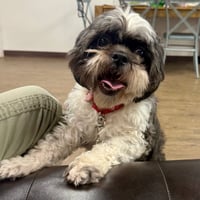 Max - Photo 4