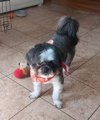 Max - Photo 3