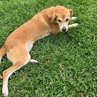 Frankie - Photo 2