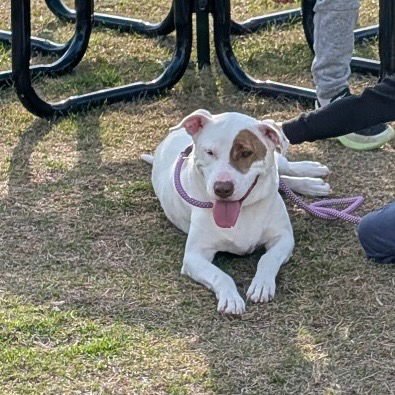 Betty White - Photo 3