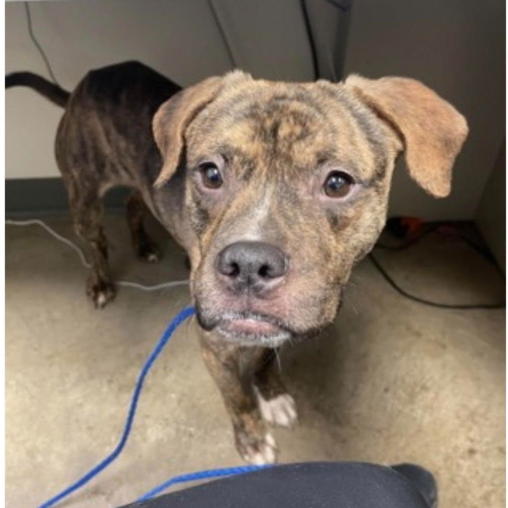 Fruit Loops - Photo 3