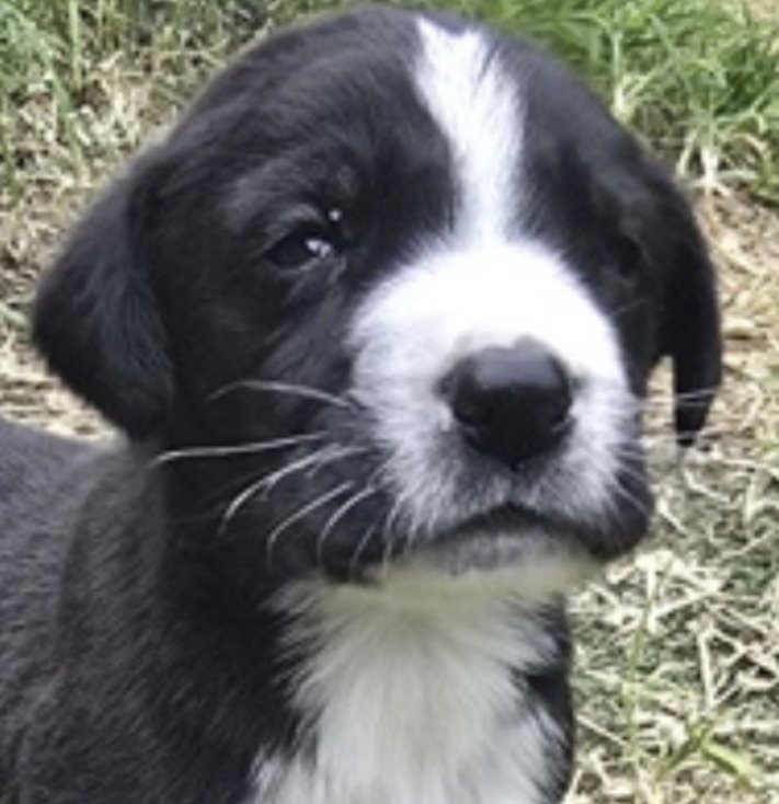 Zeus Image