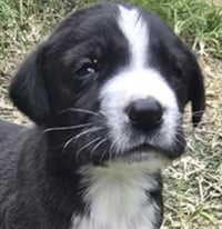 Zeus - Photo 1