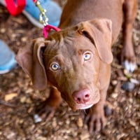 Junie - Photo 3
