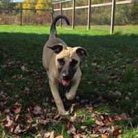 Maggie - Photo 3