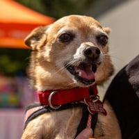 Marley - Photo 4